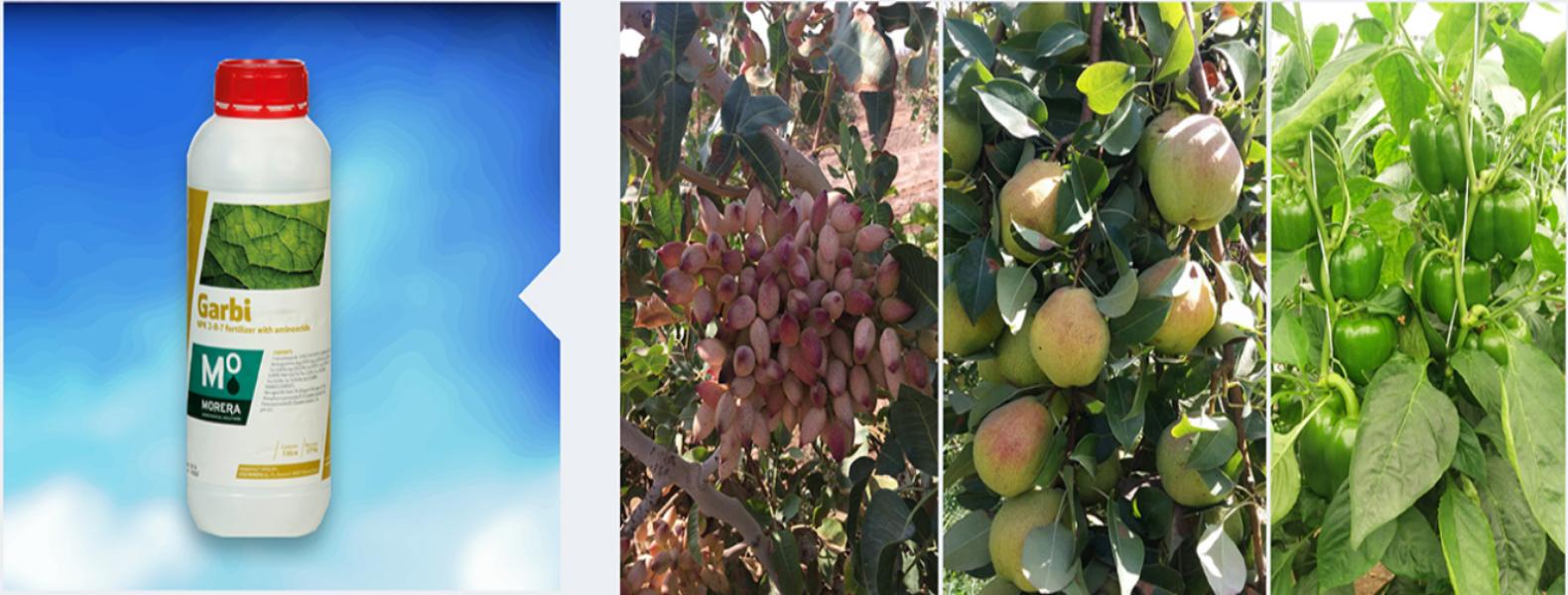 ترکیبی موثر برای افزایش اندازه و یکنواختی میوه ها 